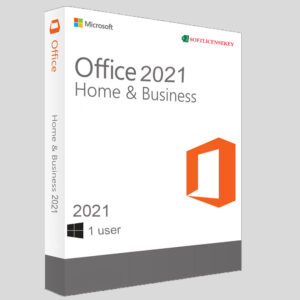 Microsoft office 2021 professional plus