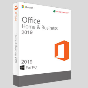 OFFICE 2019 PROFESSIONAL PLUS